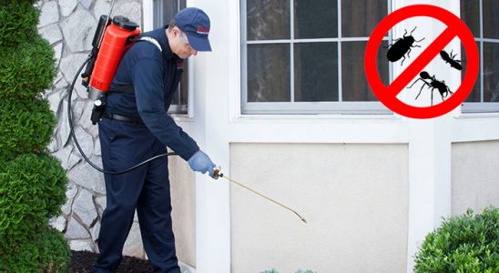 Tuzlukçu Kemirgen İlaçlama böcek ilaçlama ve haşere kontrolü — ilaclama-tr.com